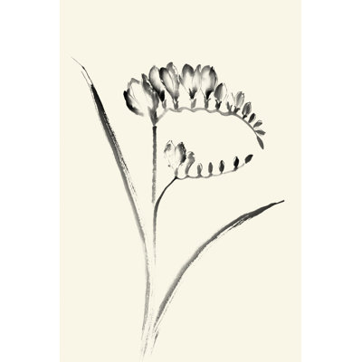 Ink Wash Floral VI - Freesia by Nan Rae - Wrapped Canvas Painting