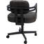 Wapiti du Nord-Ouest - gris-574076496-574076500