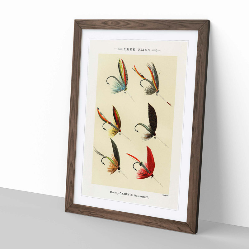 Lake Fishing Flies Version 6 by Mary Orvis Marbury - Picture Frame Painting Print, Walnut, 76cm H x 50cm W x 2cm D