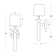Perennial Sconce