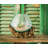 Jarom Glass Driftwood Terrarium Planter 