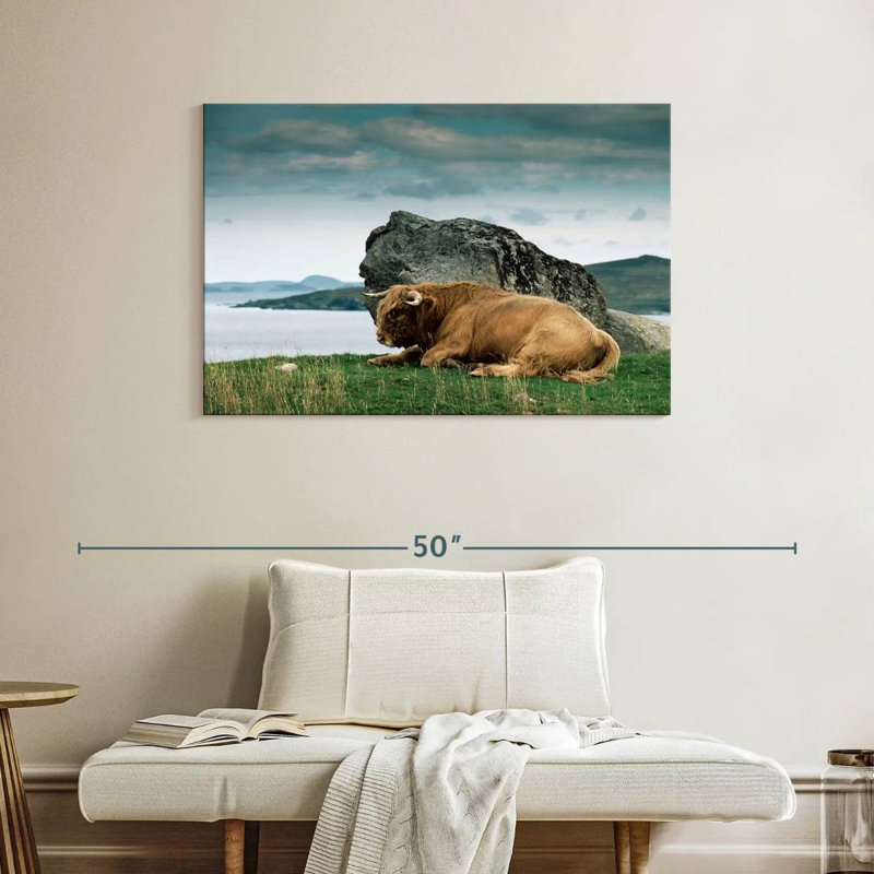 Brampt Highlander Bull, 26" H x 39" W