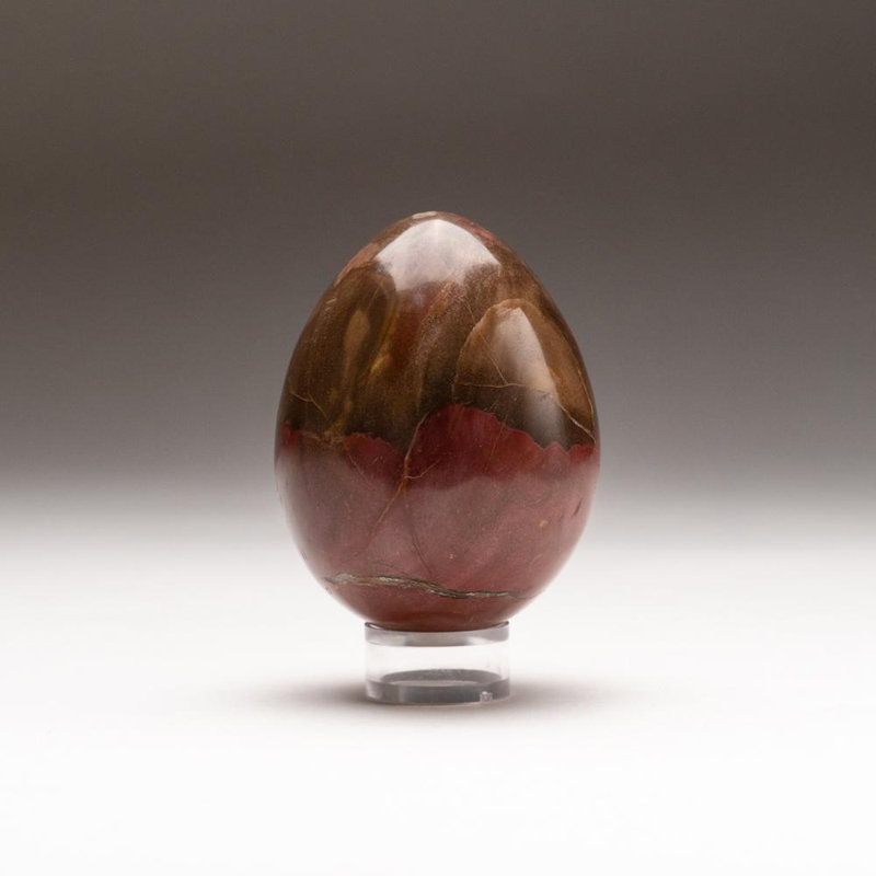 Petrified Wood Egg, Orange/Yellow/Brown, 3" H x 2" W x 2" D