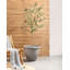 TESALIA Pot Planter-109270040