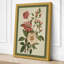 Three Blooms Study Botanical - Wrapped Canvas-375150604-375150607