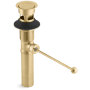 Pop-Up Lav Drain W/Overflow, Exposed