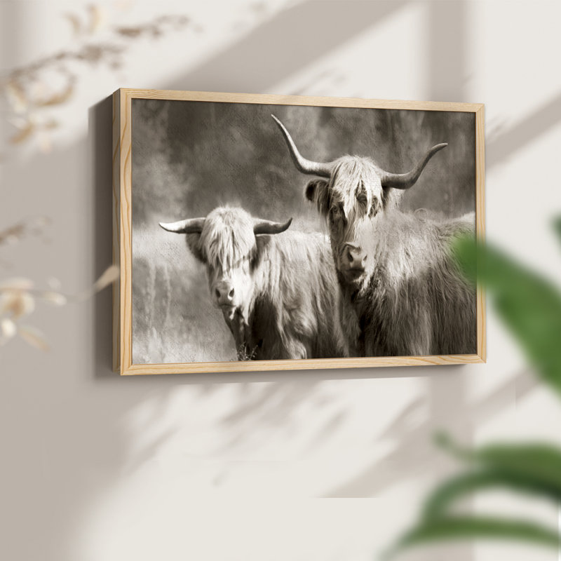 Sepia Hairy Highland -Framed Print - Restickable, 8" H x 10" W, Natural