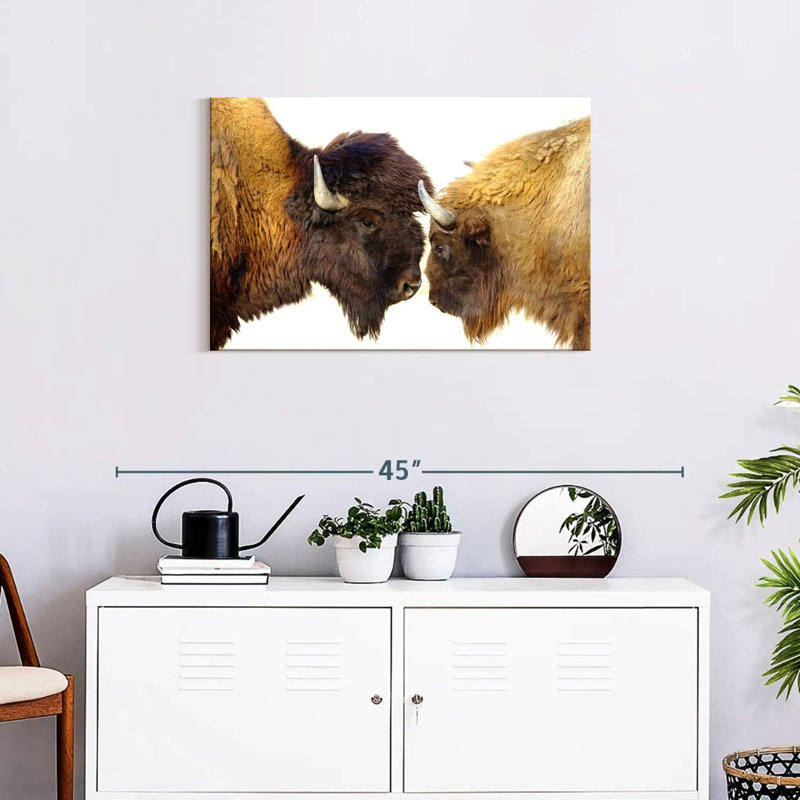 Brampt Bisons I, 20" H x 30" W