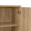 Bundella 2 -Door 3 -Shelf Storage Cabinet