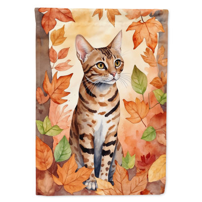Chat en feuilles d'automne