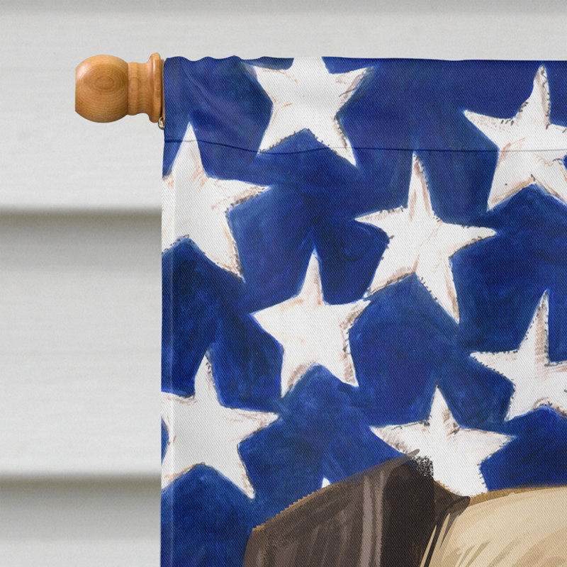 Double Sided 40'' H x 28'' W Polyester Independence Day House Flag, Magyar Agar