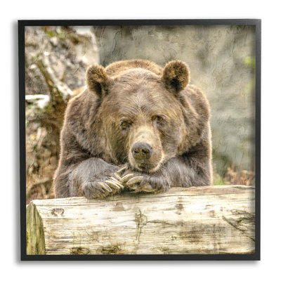 " Bear Resting On Log " by Kim Allen