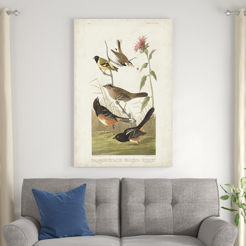 Pl 394 Finch couleur châtaignier, H 48 po x l 32 po