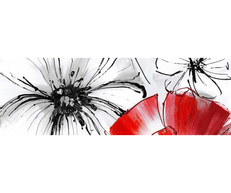 " Red & White Flowers Sketch "