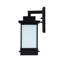 Lanterne murale d'extérieur noire à 1 lumière H 20 po Perchoir-590768495