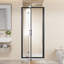 Porte de douche pliante