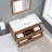 Dondi 48'' Single Bathroom Vanity with Quartz Top