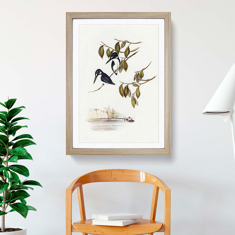 Little Kingfishers by Elizabeth Gould - Picture Frame Painting Print, 65cm H x 48cm W x 2cm D, Oak Framed