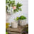 Gray Sand And Cement Planters With Floral Motif-2093992148