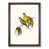 Walnut Framed