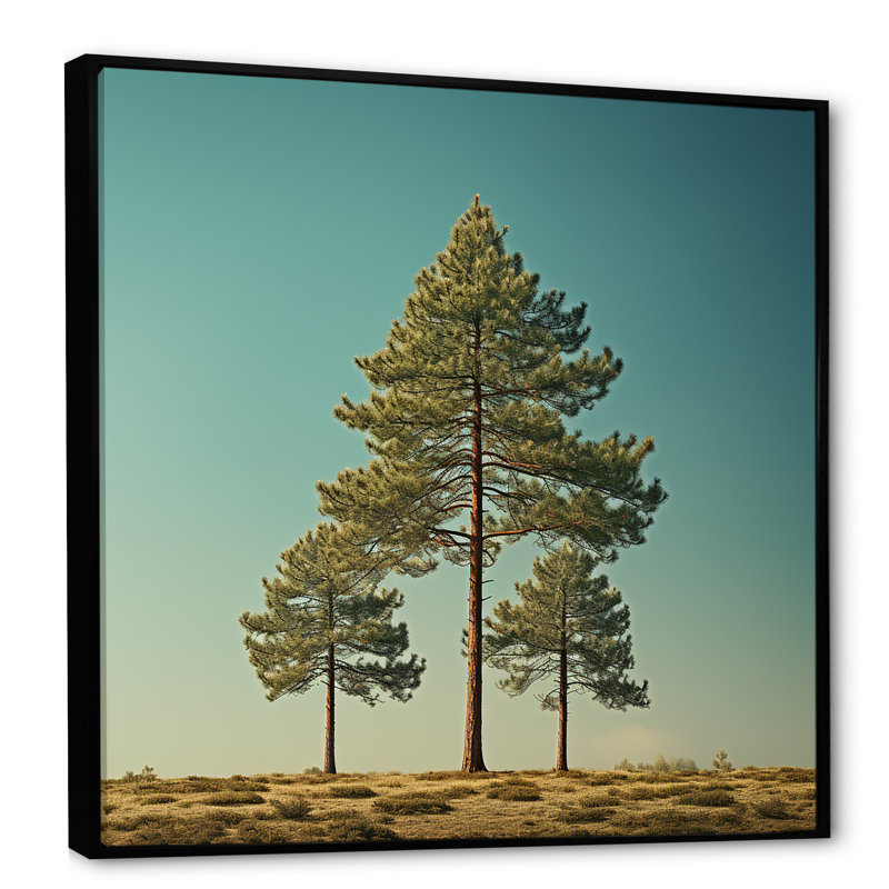 «Pine Tree Perspectives in Forest I», impressions d'art mural pin, Cadre flottant noir, H 16 po x l 16 po x P 1 po