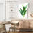 Harnek Green Banana Leaves-108383901