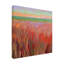 Art mural sur toile tendue - Jane Schmidt «Beach Grass», décoration murale pour le salon, la chambre à coucher ou le bureau - 18 x 18