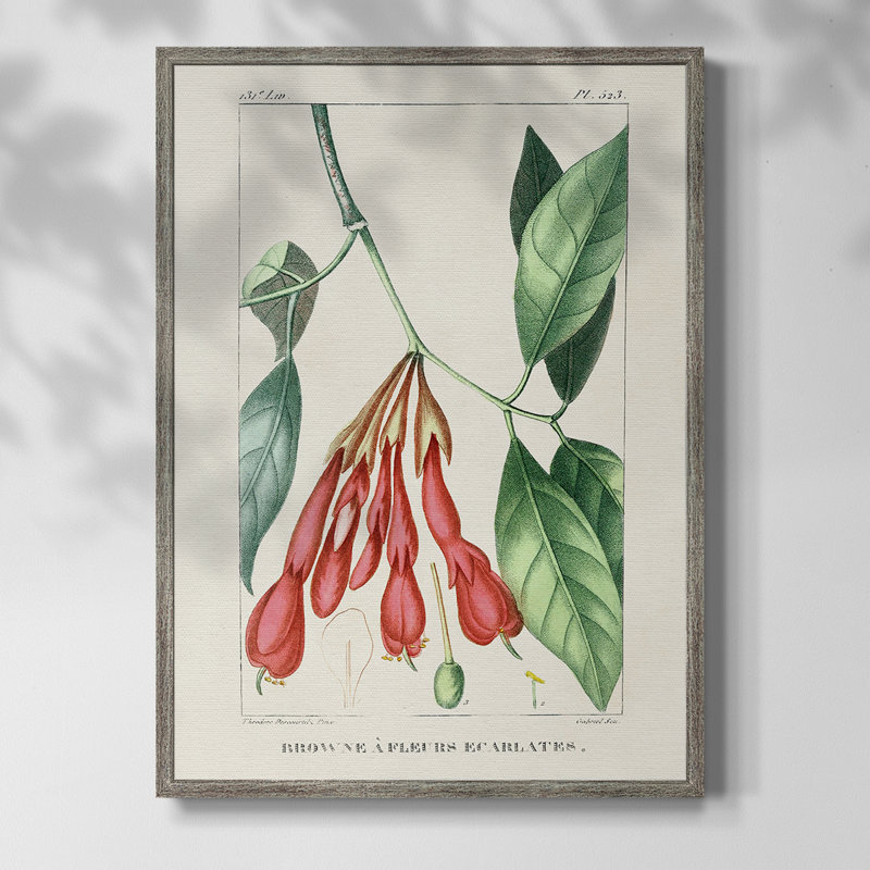 «Turpin Tropical Botanicals I», reproduction encadrée - bois massif, H 21 po x l 17 po