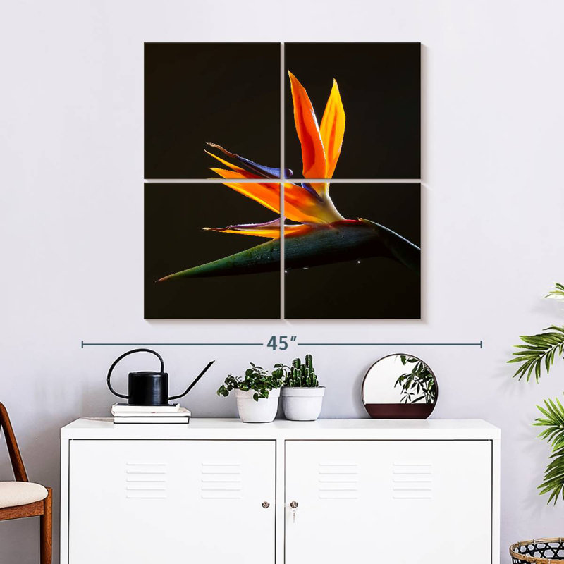 Harnek Exotic Crane Lily