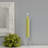 Grecian Collenette Unscented Taper Candle-52258959-52286243