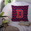 Housse et insert de coussin extérieur d'extérieur-1165616331-1165616328