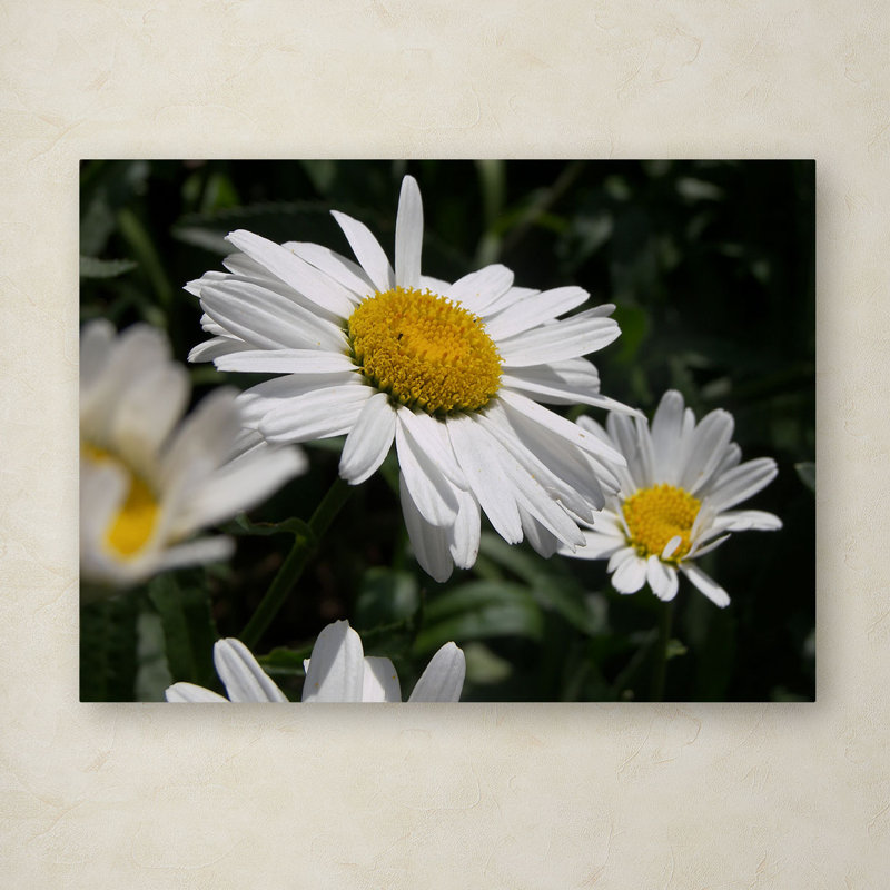 Dominating Beauty White and Yellow Floral Canvas Art