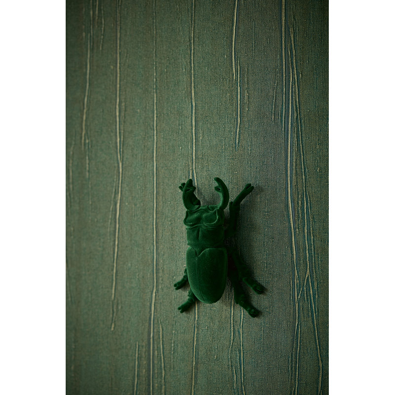 Rouleau de papier peint L 33 pi x l 39,4 po, Vert clair