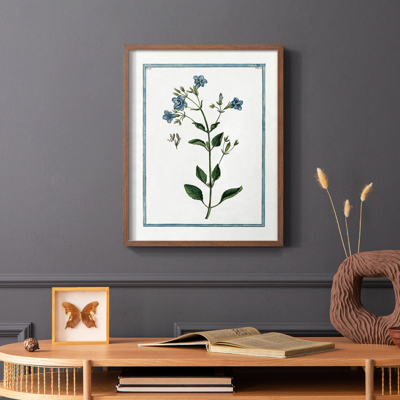 Shabby Elegance Botanical II Framed Print - Solid Wood, Brown, 20" H x 16" W