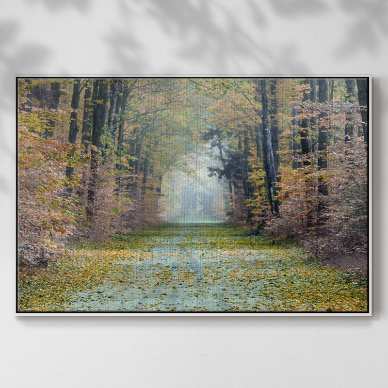 Enchanted Path, reproduction d'art sur toile, H 25 po x l 37 po x P 2 po, Blanc