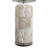 Aleena Pair of Shell Lamps