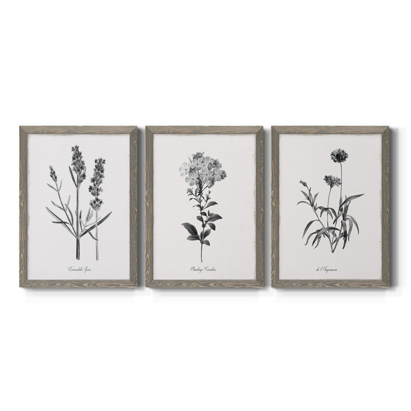 " Simply Imperial " 3 - Pieces, Gray, 31.5" H x 43.5" W x 1" D