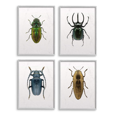 «Colorful Insect» par Design Fabrikken, ensemble de 4 reproductions d'impressions