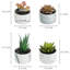 14.5cm Faux Succulent Plant in Ceramic Planter