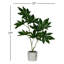 Papaye artificielle 17 "en pot