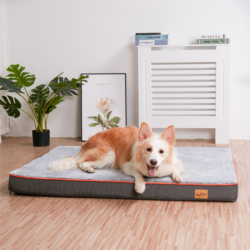 Lit pour chien Pillow, H 4,7 po x l 53,1 po x P 39,3 po