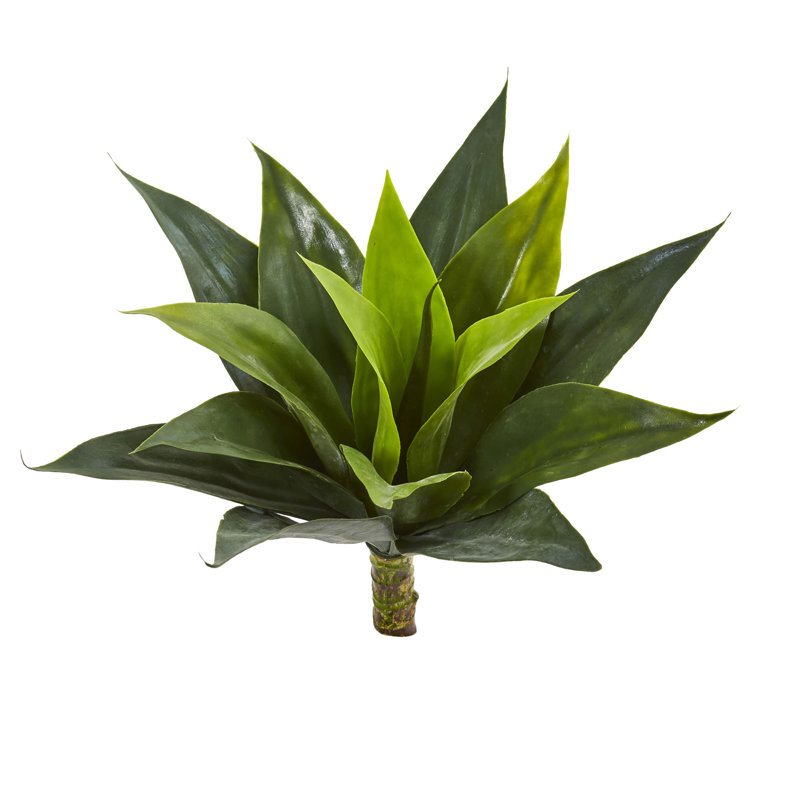 Ensemble de 6 plantes grasses artificielles agave