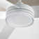Cirque LED Ceiling Fan