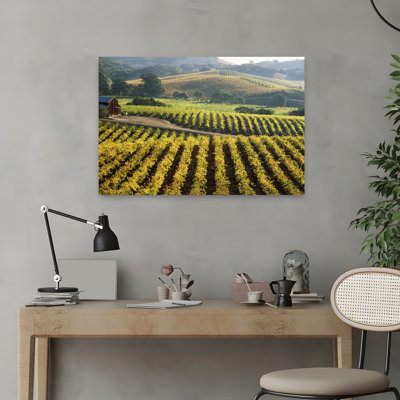 Vineyard At Domaine Carneros Winery Sonoma Valley California Usa Abstract Contemporary Architecture Landscape Art