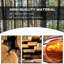 Banc de pique-nique en bois Tarrence-1214762838