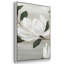 Southern Charm 3 pièces-231845741-231845740