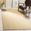 Riju Natural Fiber Bordered Rug In Ivory & Beige-1319013105