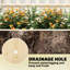 Lit de jardin surélevé en bois avec 3 treillis
