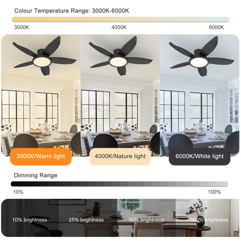 Ventilateur de plafond réversible à DEL à 5 pales de 42 po avec lumière et télécommande Damekia, Noir / Noir