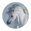 Stallion Print-38104112-38104117